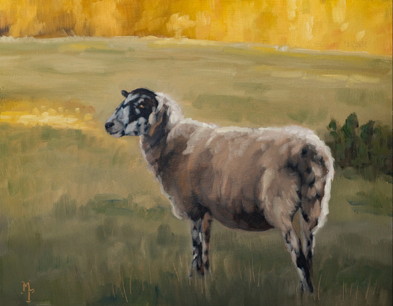Cotswold Sheep 1 Print