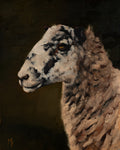 Hidcote Sheep Profile Print