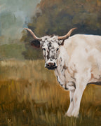 "White Minchinhampton Cow" | Original 11 x 14 oil painting