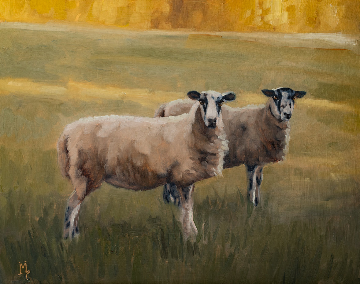 "Cotswold Sheet 2" | Original 8 x 10 oil painting
