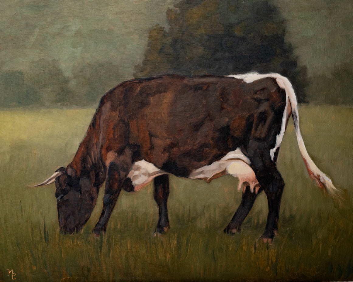 "Brown Minchinhampton Cow" | Original 11 x 14 oil painting