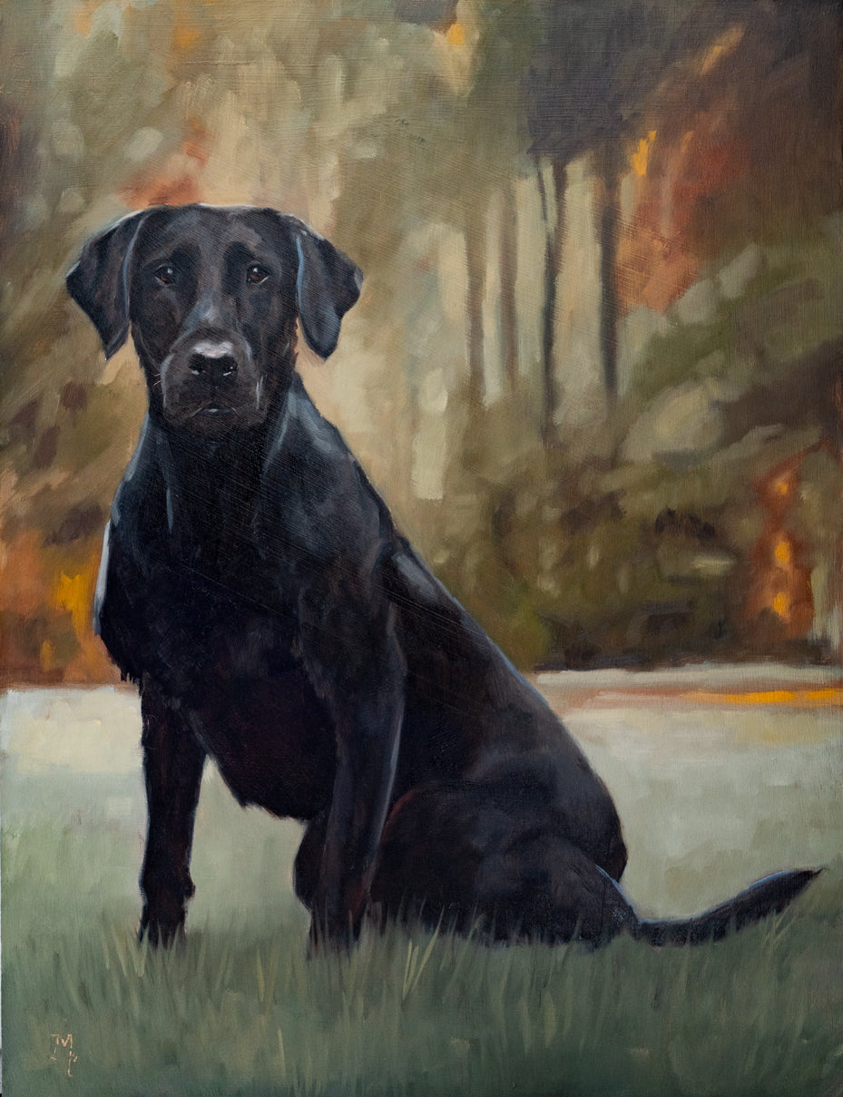 "Kohtop" | Original 12 x 16 oil painting