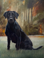 "Kohtop" | Original 12 x 16 oil painting