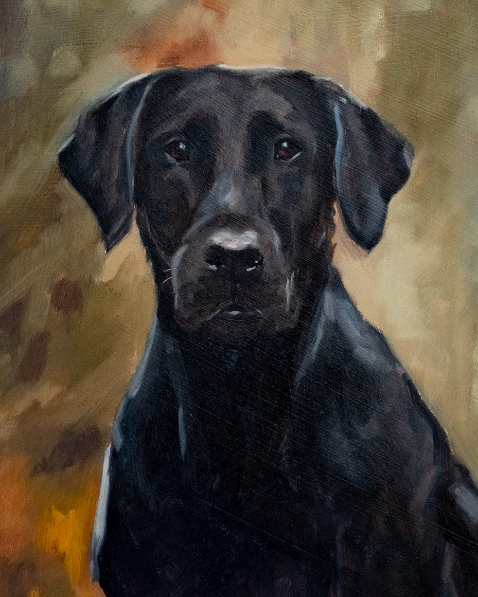 "Kohtop" | Original 12 x 16 oil painting