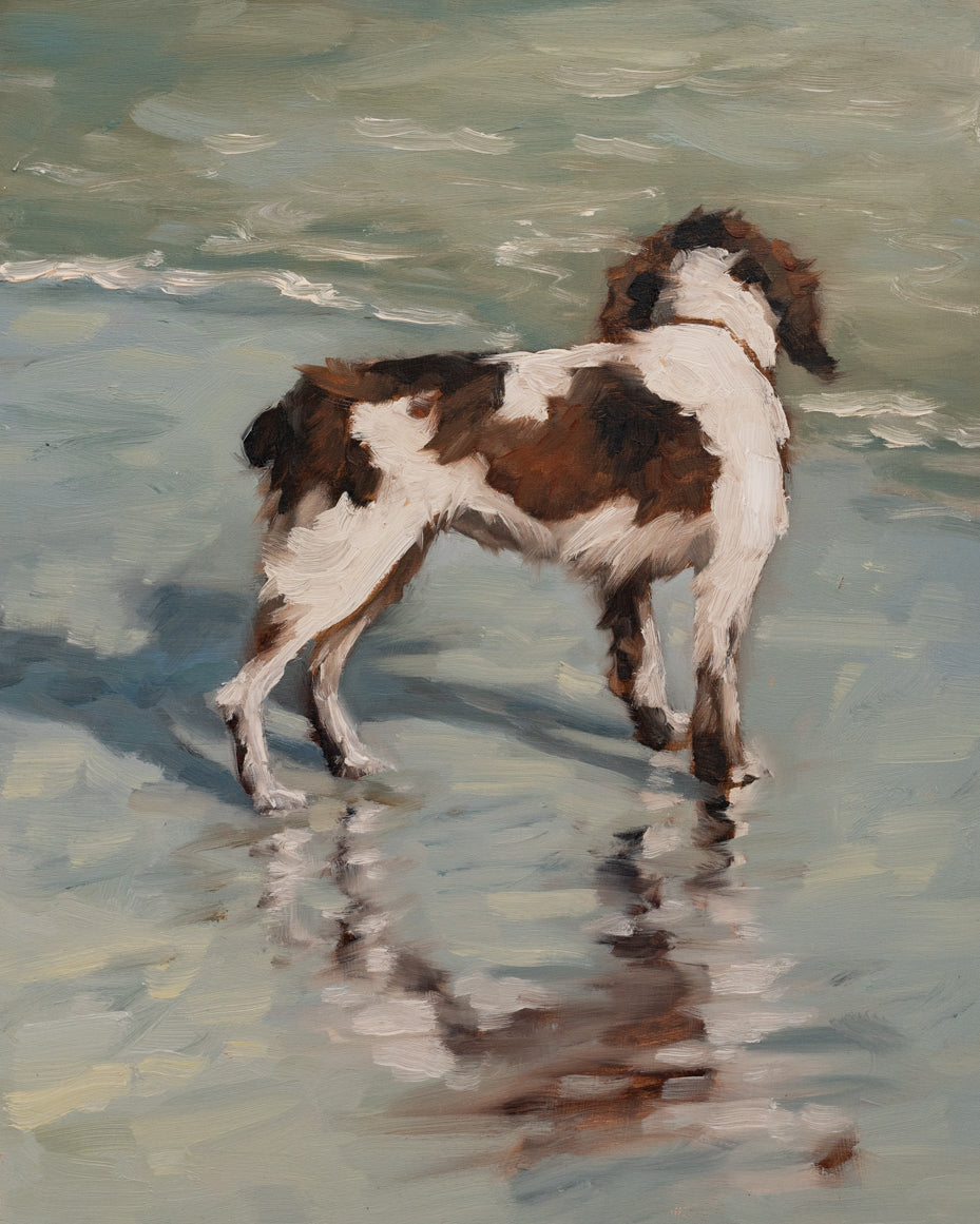 "Spaniel at Isle of Palms" | original 8 x 10 oil painting