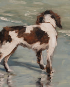 "Spaniel at Isle of Palms" | original 8 x 10 oil painting