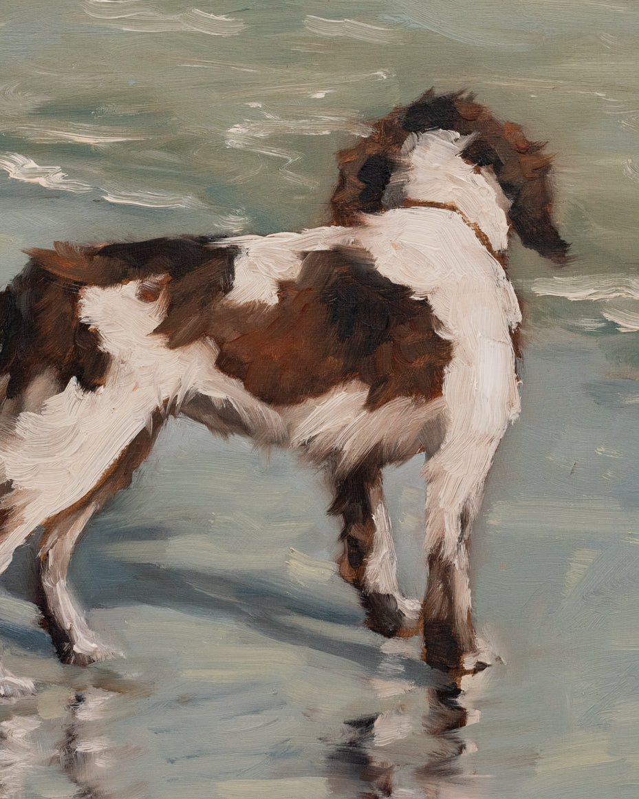 "Spaniel at Isle of Palms" | original 8 x 10 oil painting