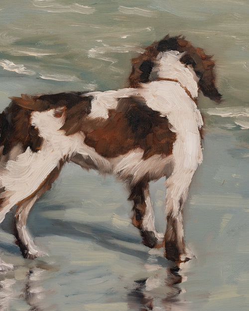 "Spaniel at Isle of Palms" | original 8 x 10 oil painting