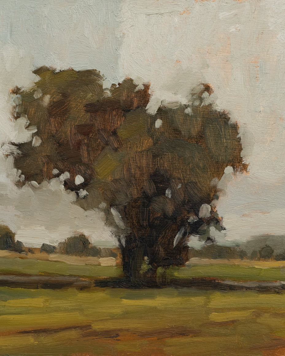 "Minchinhampton Field" | Original 8 x 10 oil painting