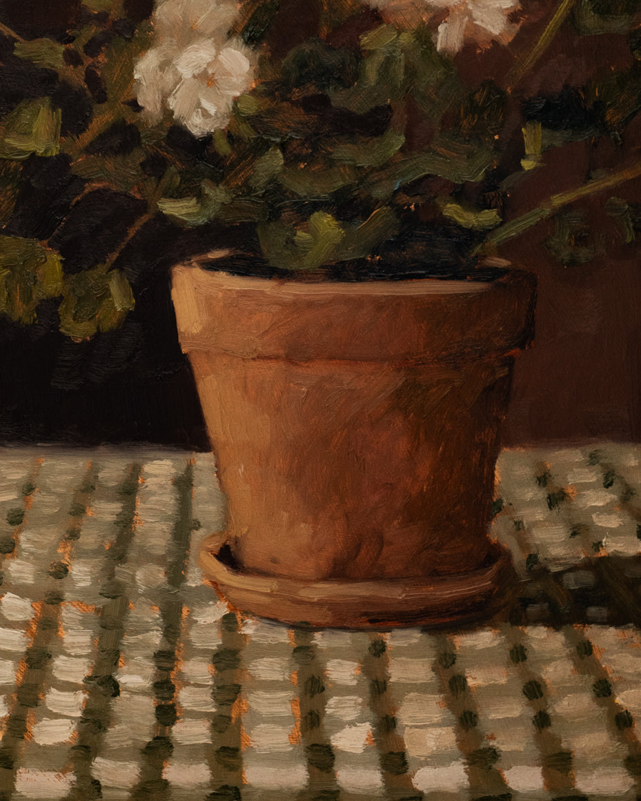 "White Geranium on Checked Cloth" | 12 x 16 framed original oil painting