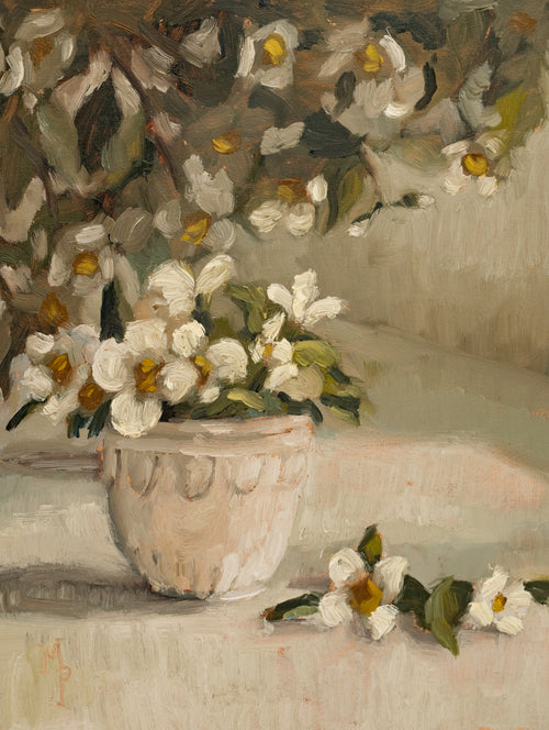 "Cup of Mock Orange Blooms" |  8 3/4 x 6 3/4" original oil painting framed