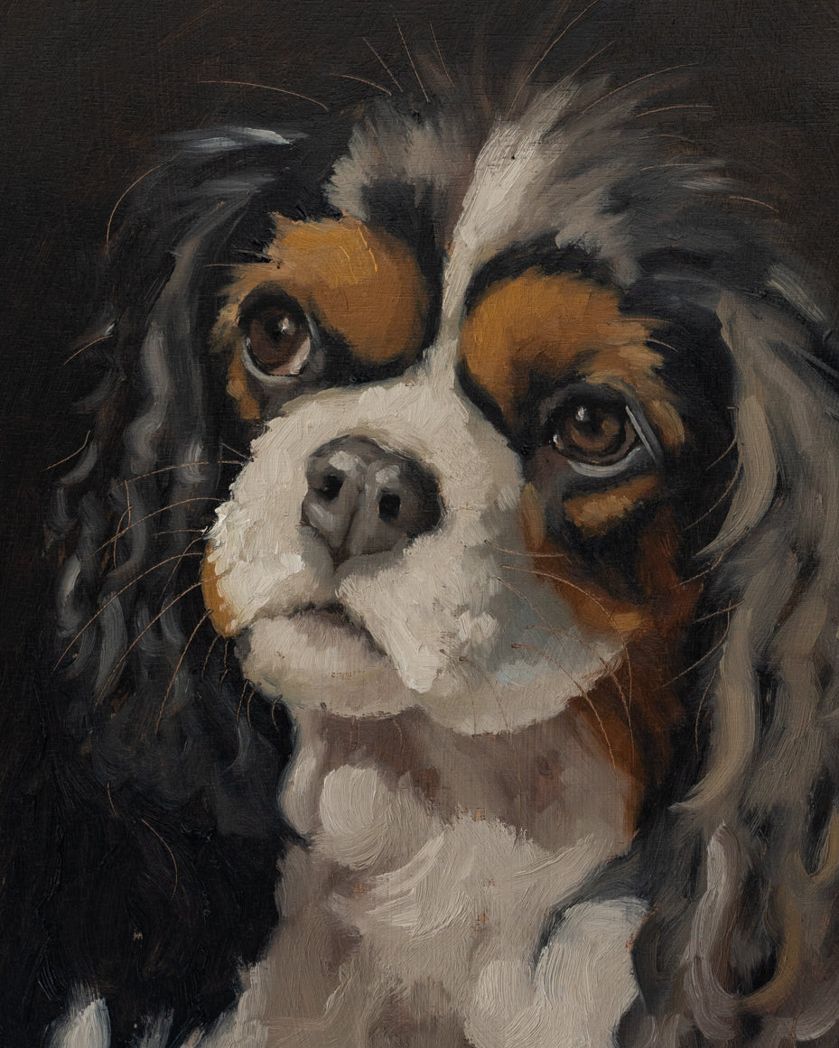 "Charles" |  10 x 8" original oil painting framed