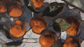 Oranges in Light & Shadow