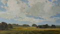 Farm fields and Clouds