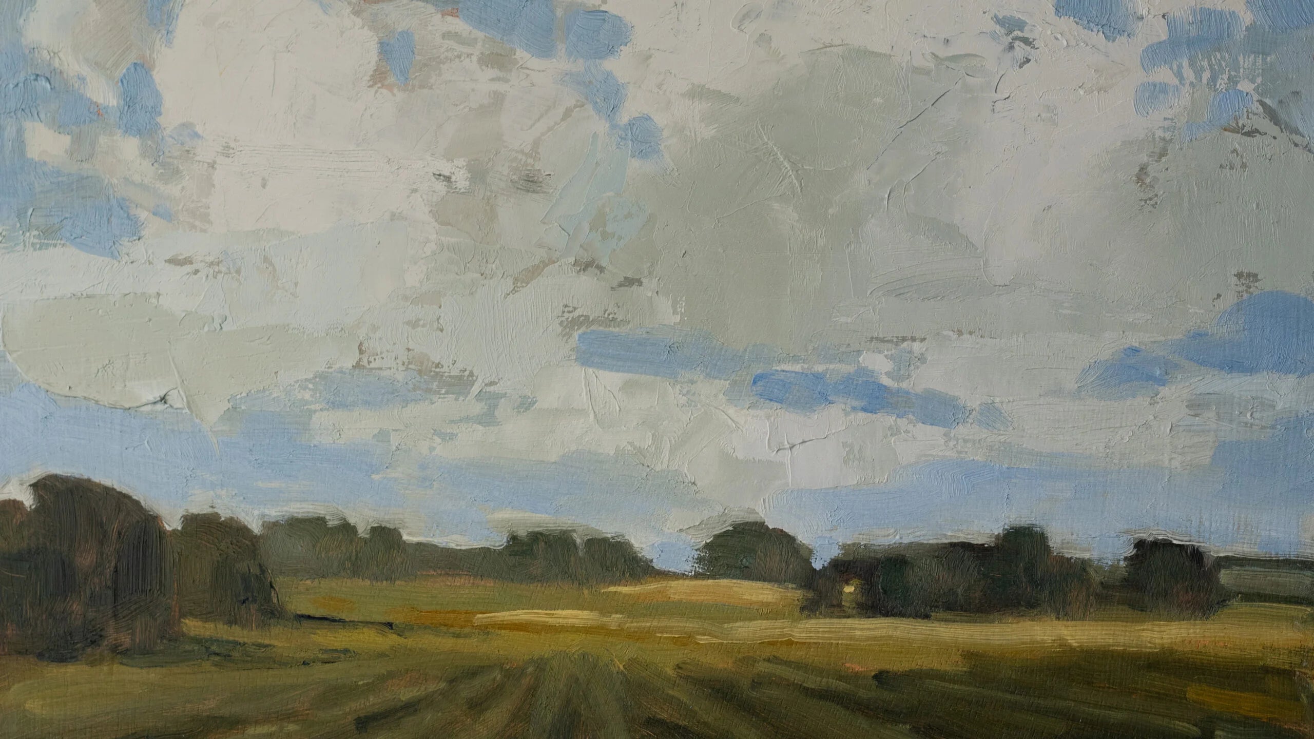 Farm fields and Clouds