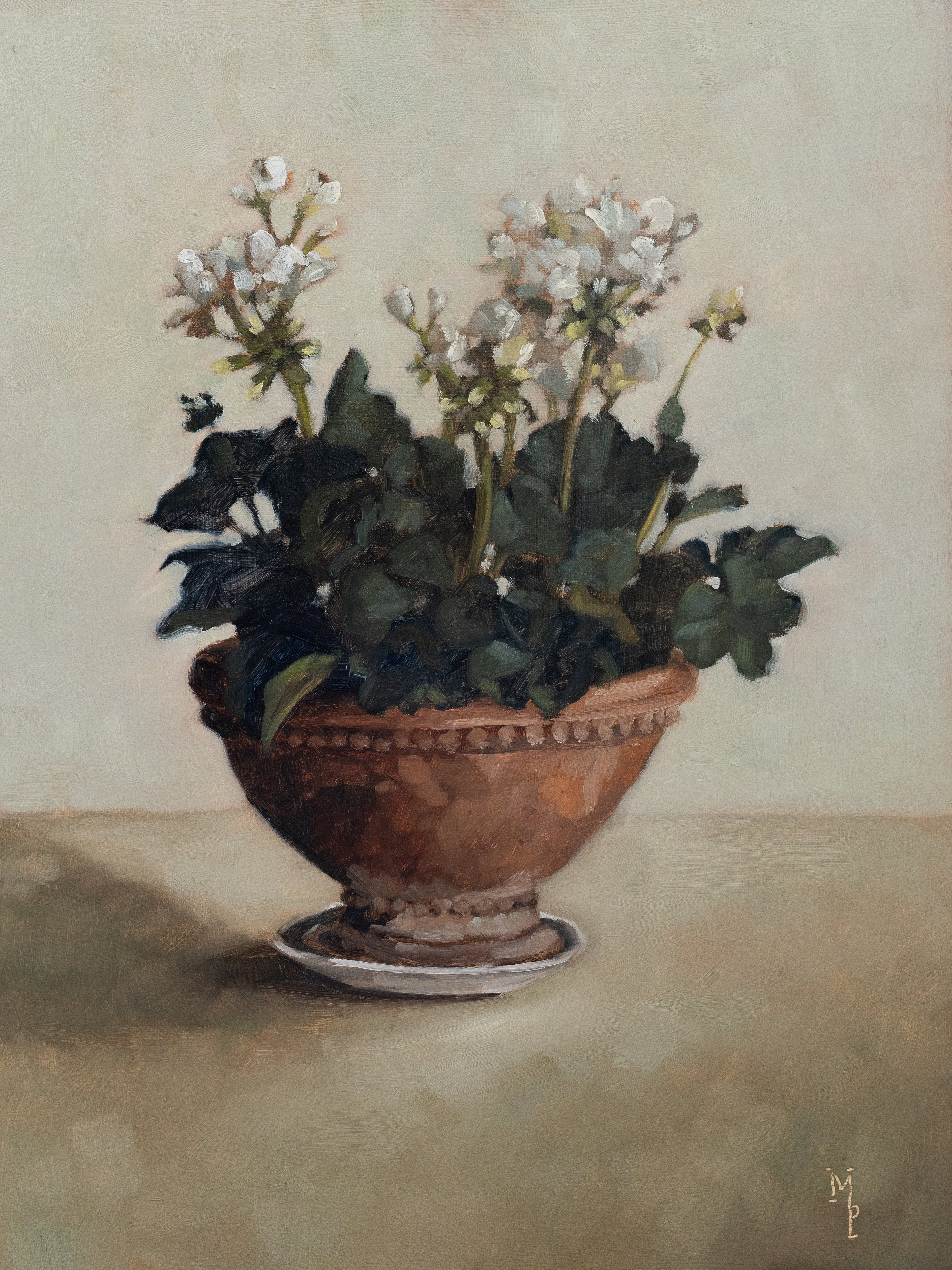 Potted Geraniums Print