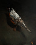 Robin Print