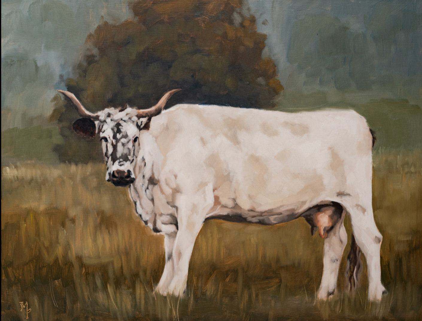 White Minchinhampton Cow Print