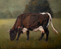 Brown Cotswold Cow Print