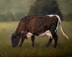 Brown Cotswold Cow Print