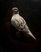 Dove Print