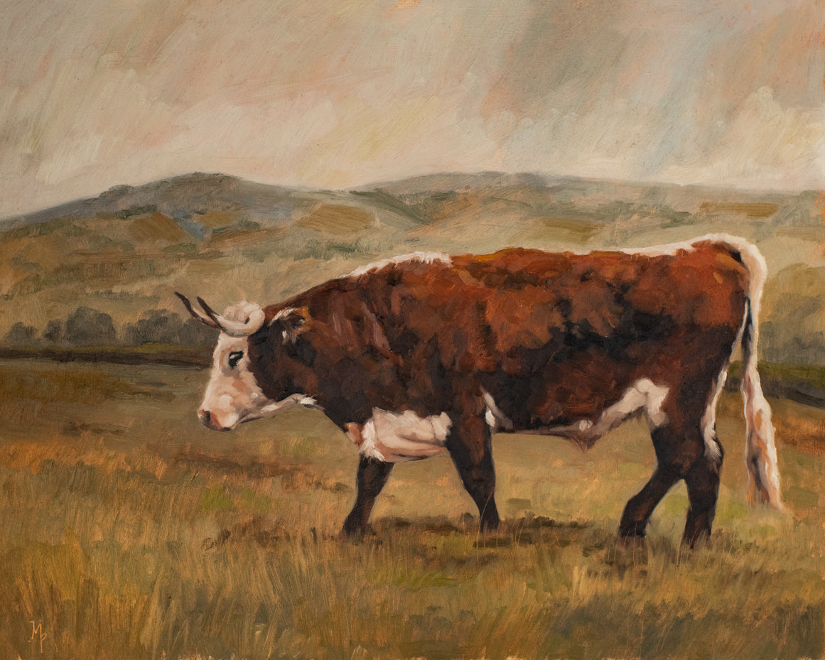 Minchinhampton Cow Print