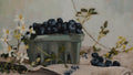 Blueberries in a container