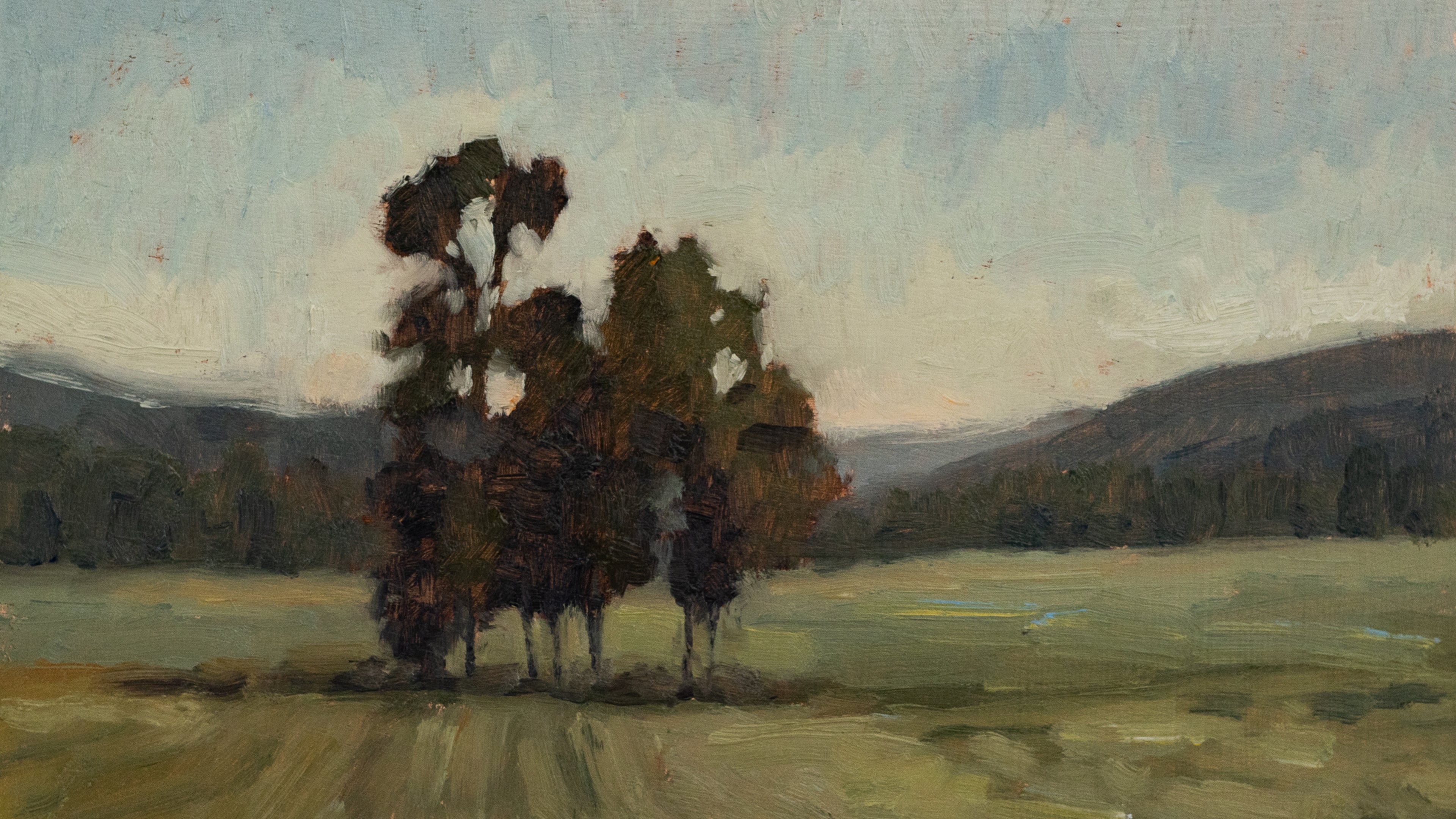Trees in Field