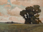 Stately Maryland Tree Print