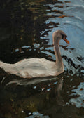 Swan 1 Print